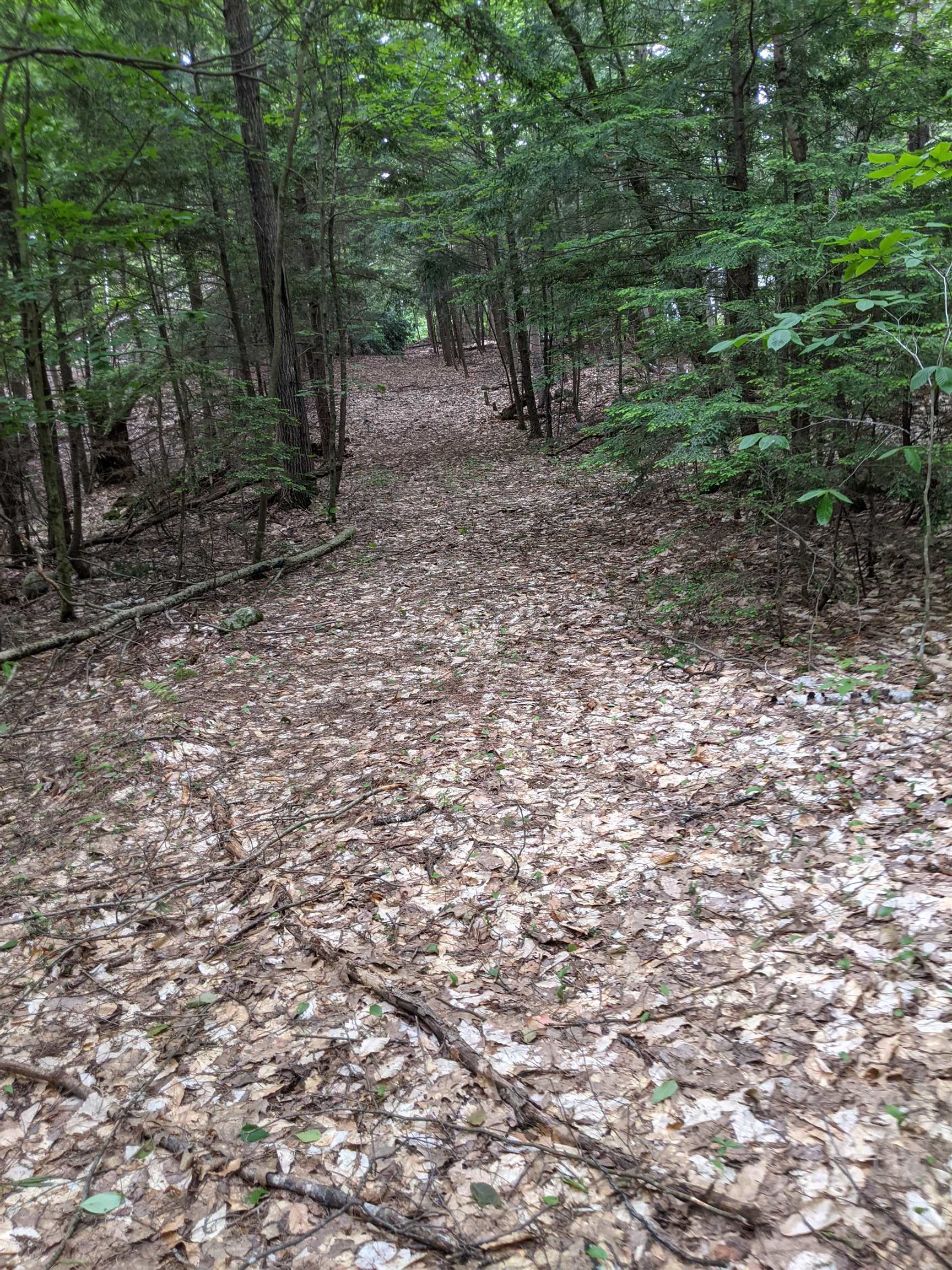 Blake Road Weare, NH 03281 - Photo 7 of 7