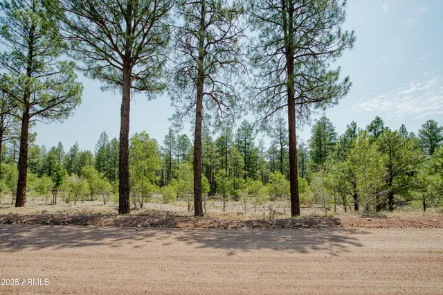 a view of a porch and a yard
