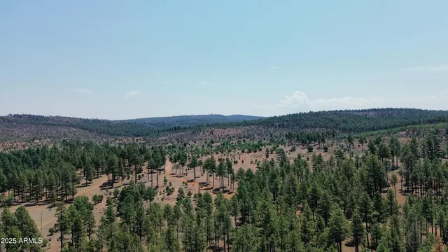 a view of a city with lush green forest