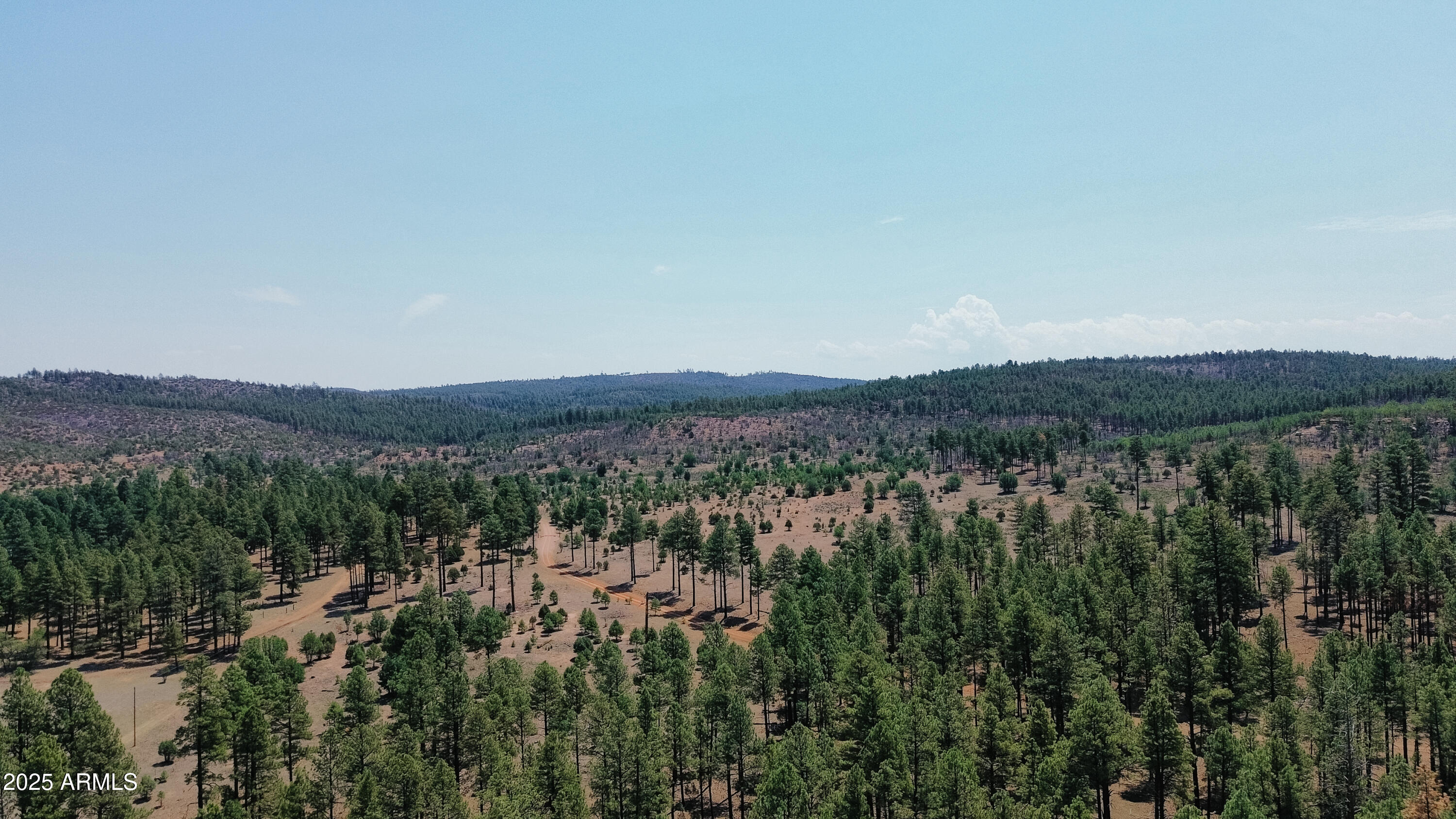 540 Rim Drive Show Low, AZ 85901 - Photo 30 of 35 a view of a city with lush green forest