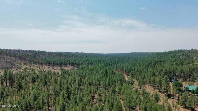 a view of a lush green space with sea