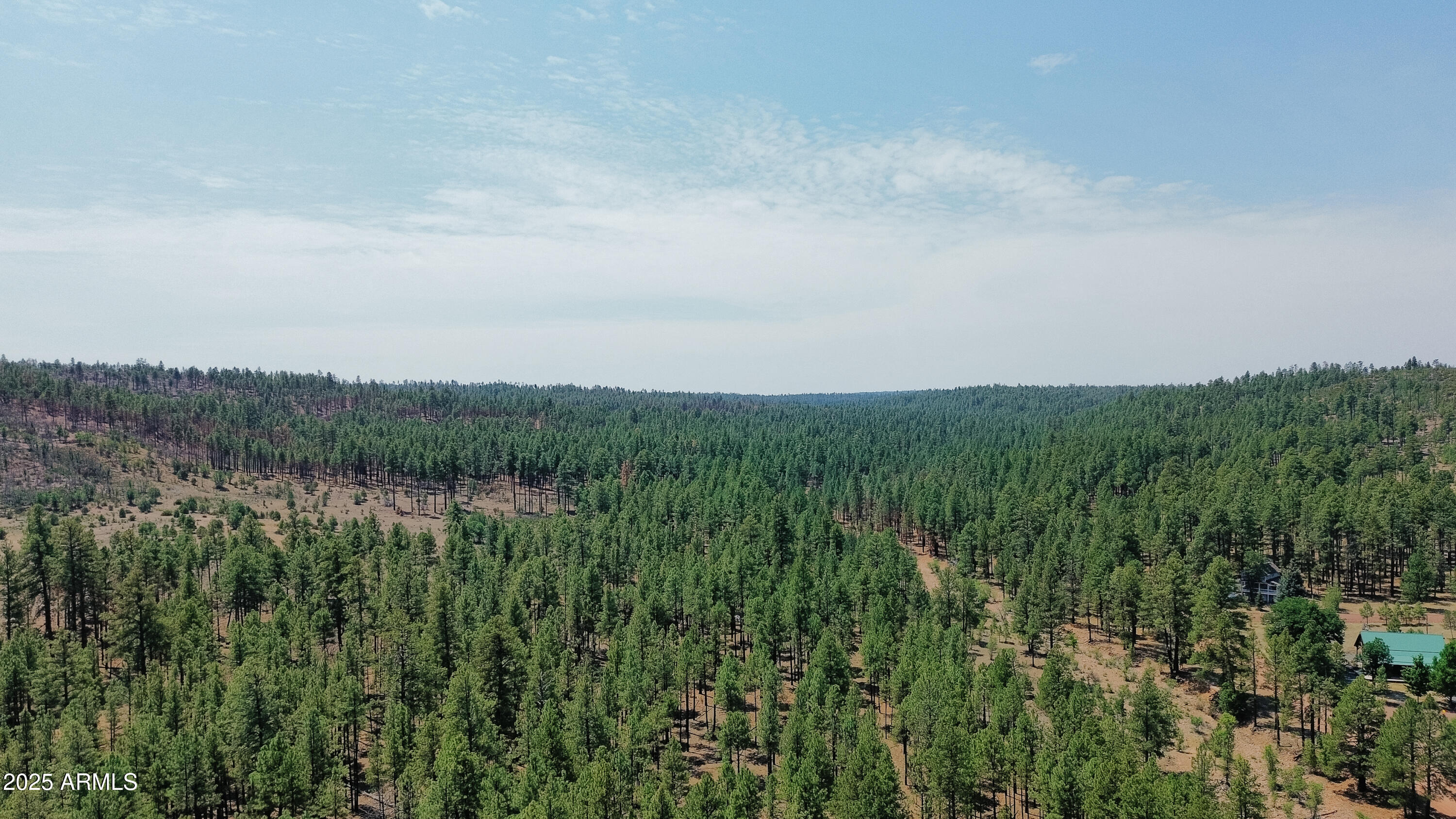 540 Rim Drive Show Low, AZ 85901 - Photo 31 of 35 a view of a lush green space with sea