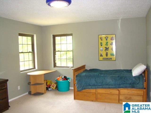 366 Curtis Avenue Ohatchee, AL 36271 - Photo 18 of 23