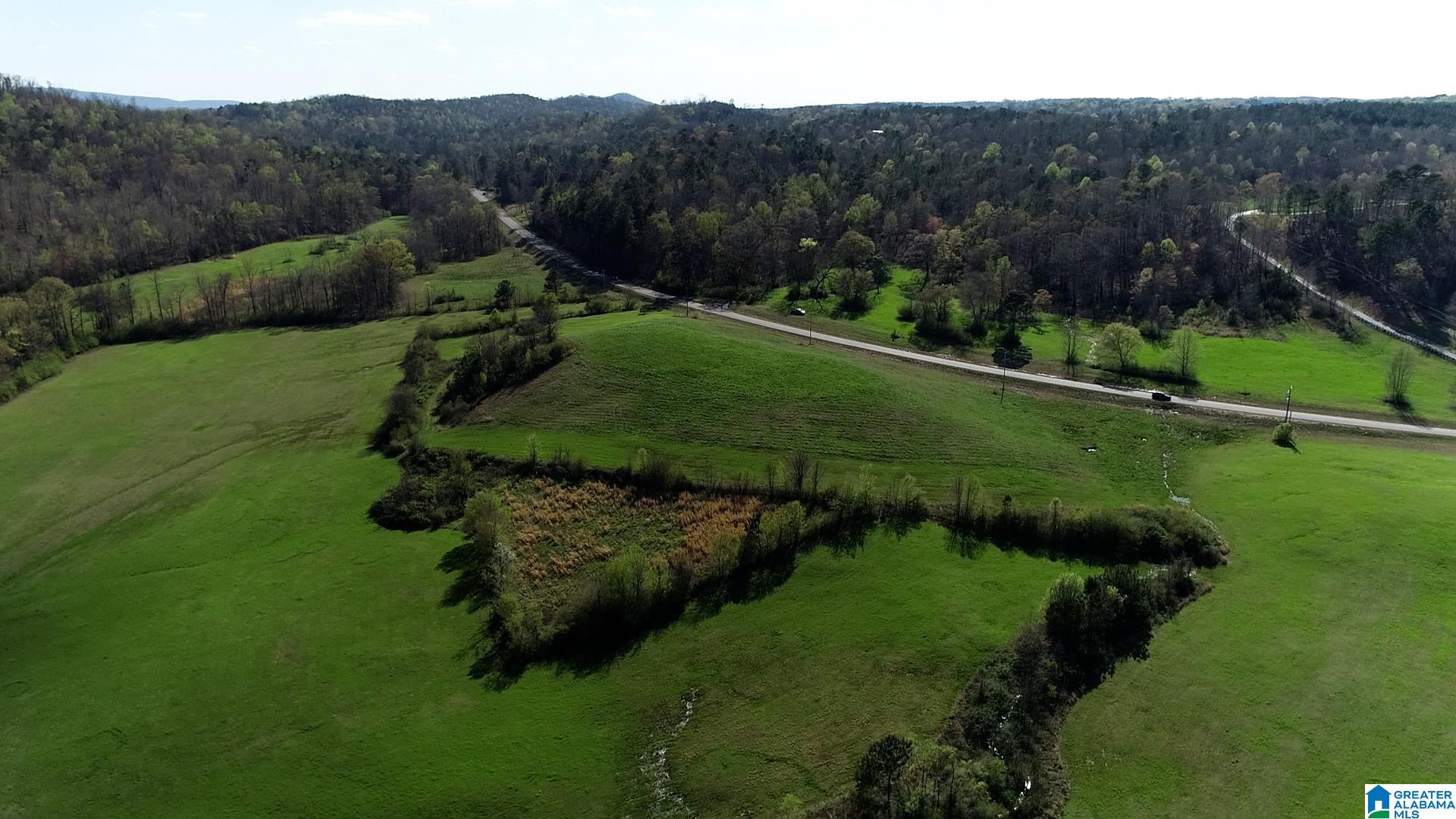 6405 Highway 174, Unit TRACT 2 Springville, AL 35146 - Photo 4 of 14