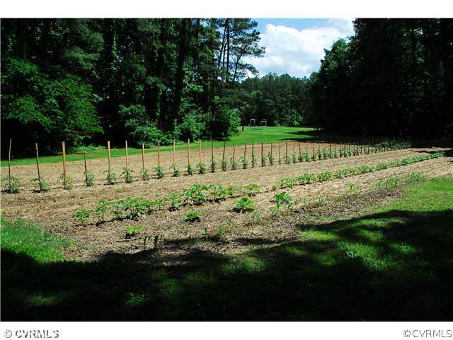 13365 Tower Road Doswell, VA 23047 - Photo 4 of 6 Land/Lot