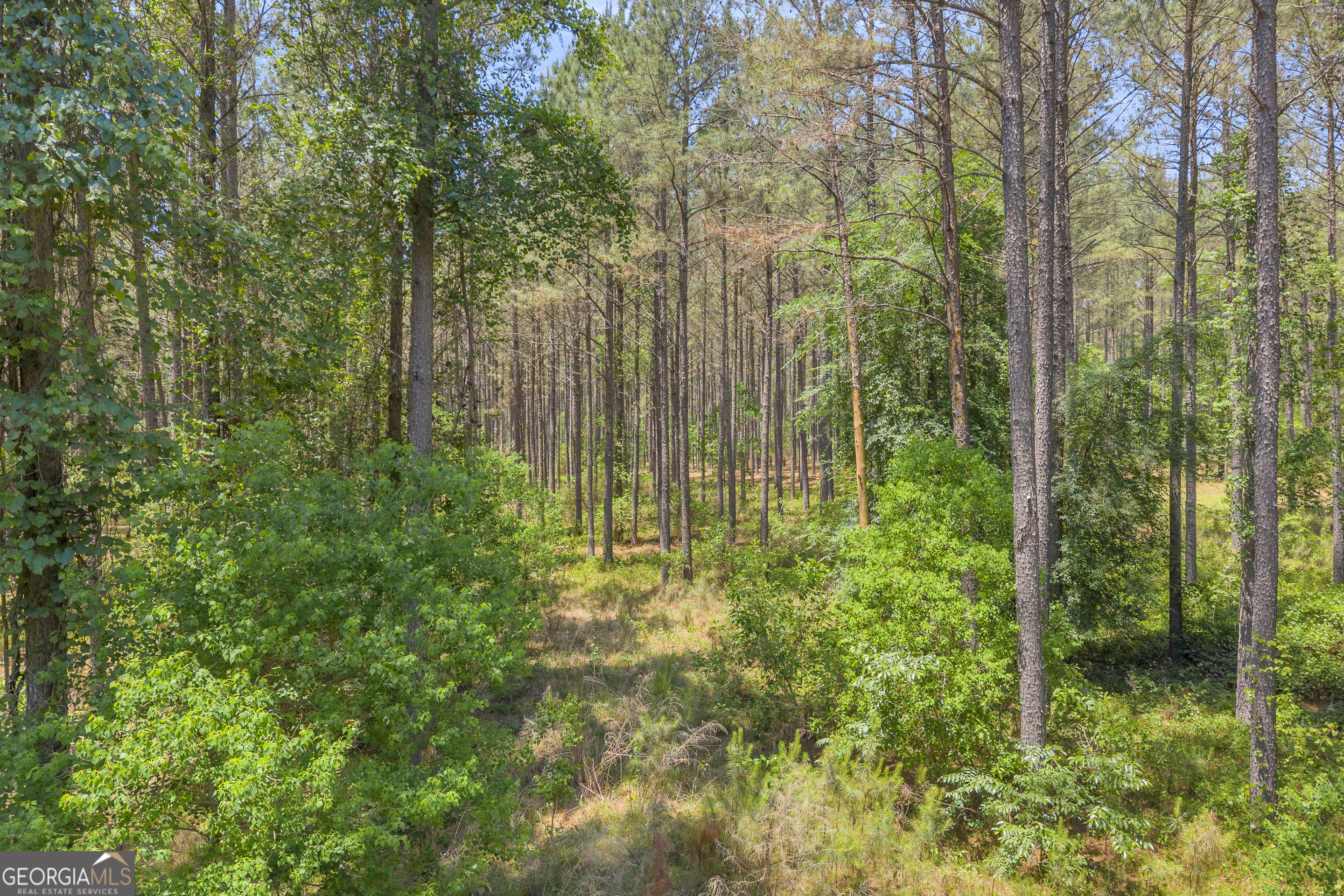 0 Hidden Harbor Road Lincolnton, GA 30817 - Photo 10 of 58