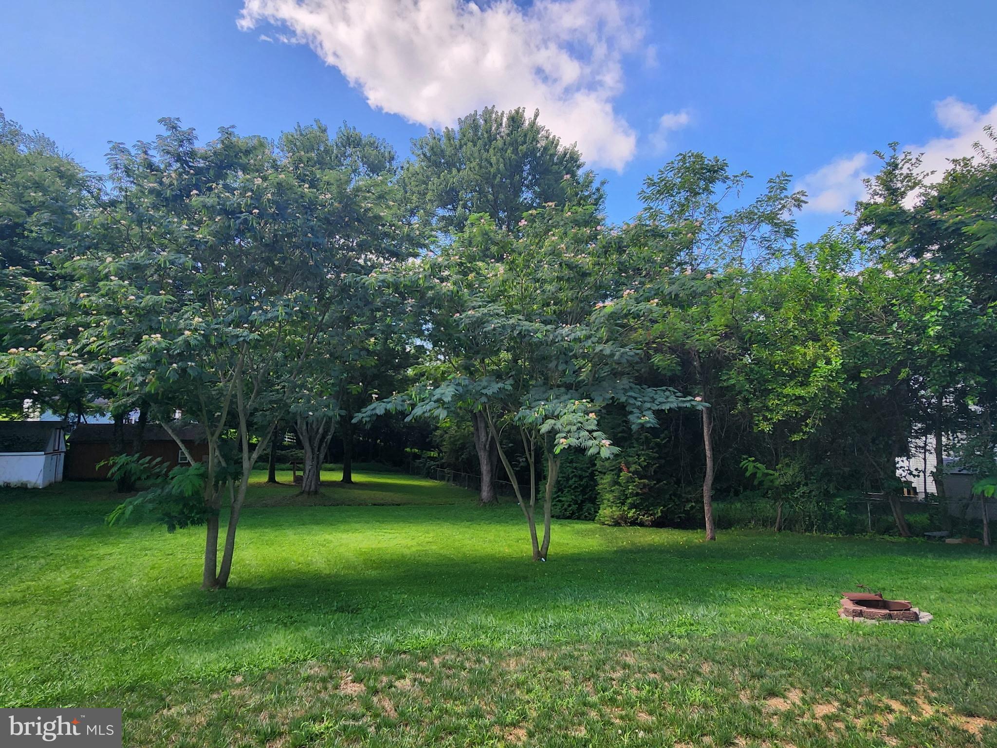 8421 West Grove Road Ellicott City, MD 21043 - Photo 34 of 44 Lush green oasis under blue skies.