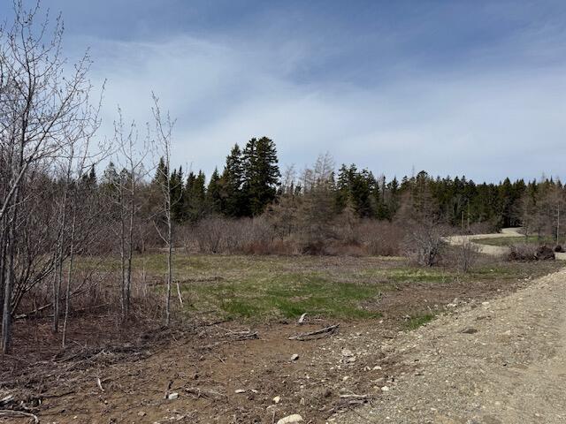 Lot 2 Holmes Bay Farms Road Whiting, ME 04691 - Photo 1 of 15 IMG_9066 (1)