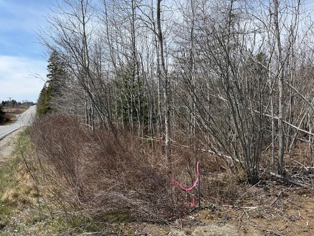 Lot 2 Holmes Bay Farms Road Whiting, ME 04691 - Photo 3 of 15 IMG_9068 (1)