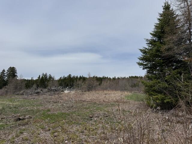 Lot 2 Holmes Bay Farms Road Whiting, ME 04691 - Photo 6 of 15 IMG_9098 (2)