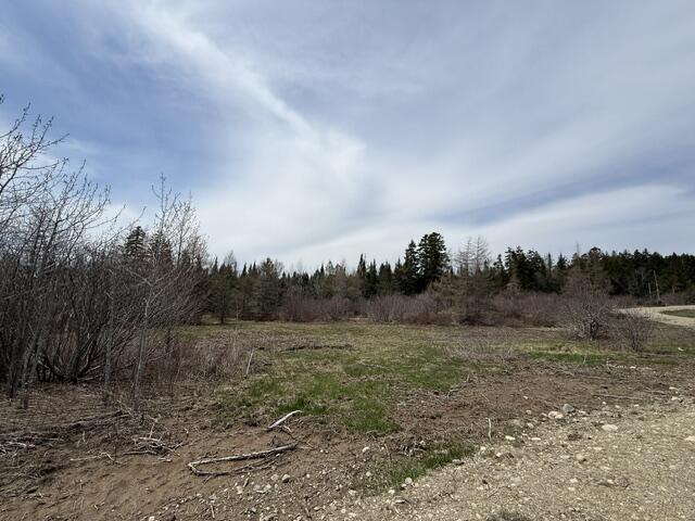 Lot 2 Holmes Bay Farms Road Whiting, ME 04691 - Photo 10 of 15 IMG_9100 (2)