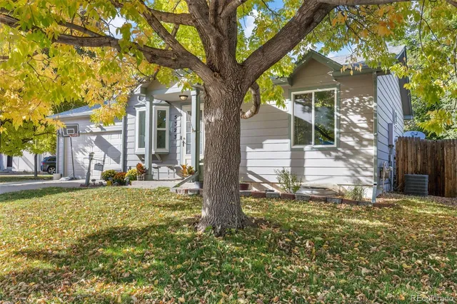 a view of a house with brick walls plants and large tree
