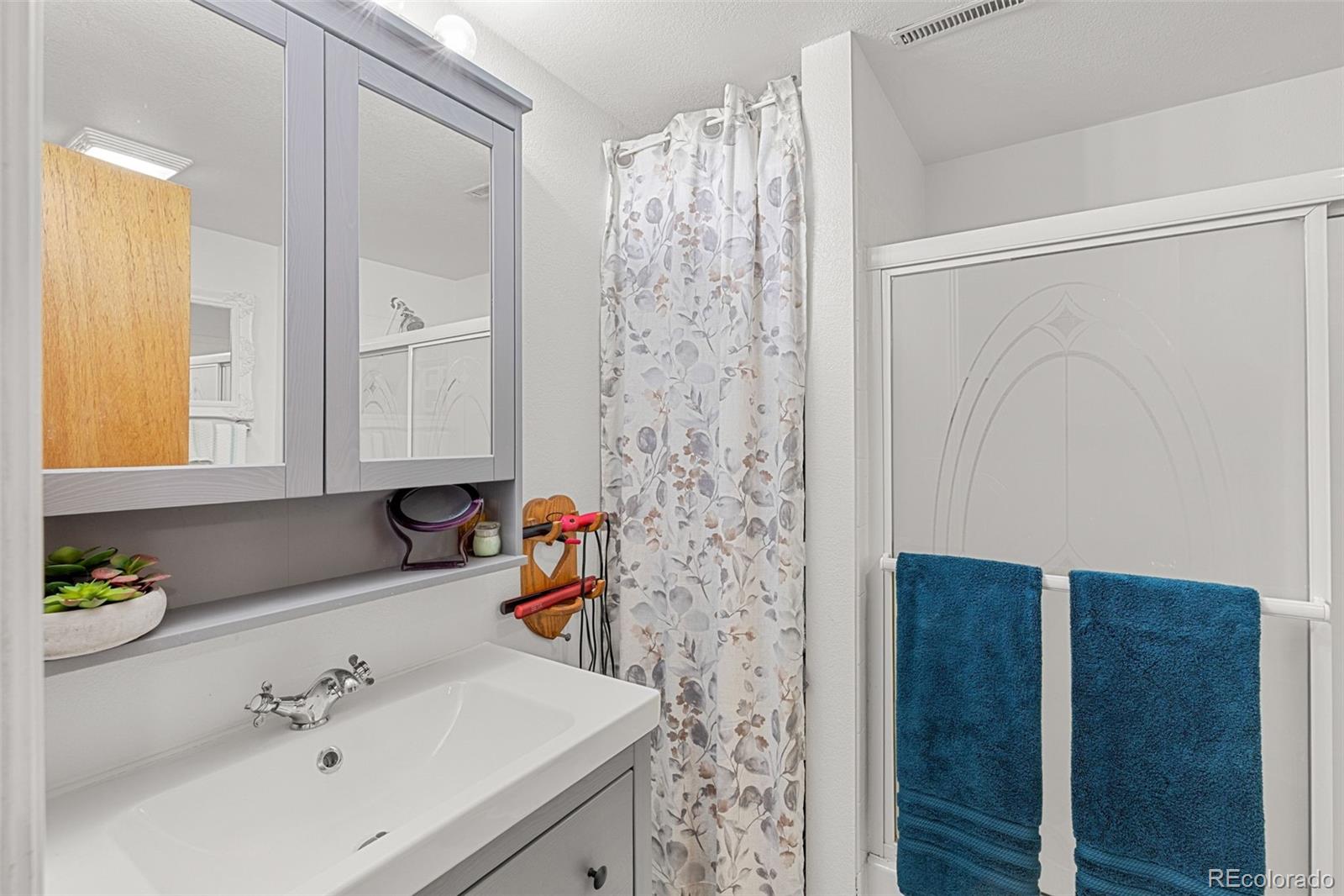 5323 East Sandpiper Avenue Castle Rock, CO 80104 - Photo 31 of 46 a bathroom with a sink and a mirror