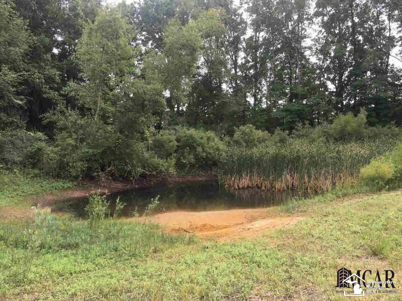 3767 Samaria Road Temperance, MI 48182 - Photo 25 of 30