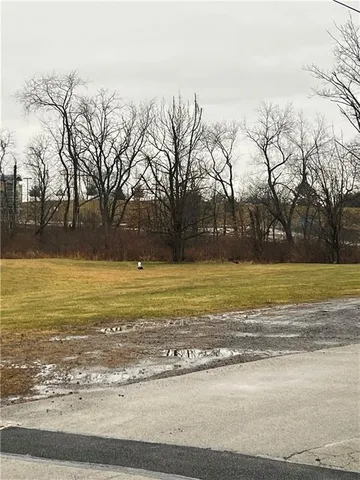 a view of a yard with an trees