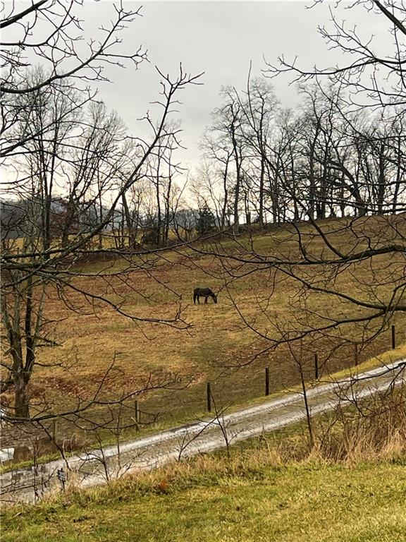 380 Northgate Drive, Unit E Apollo, PA 15613 - Photo 40 of 42 a backyard of a house