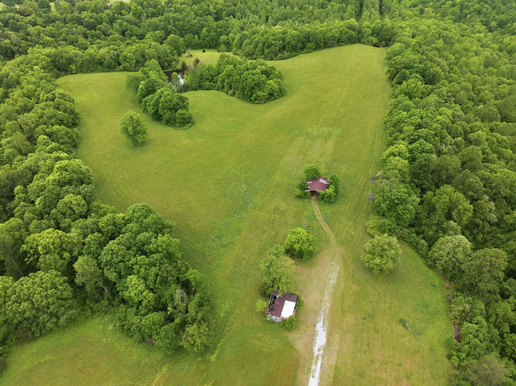 150 Mutt Road White Bluff, TN 37187 - Photo 13 of 48