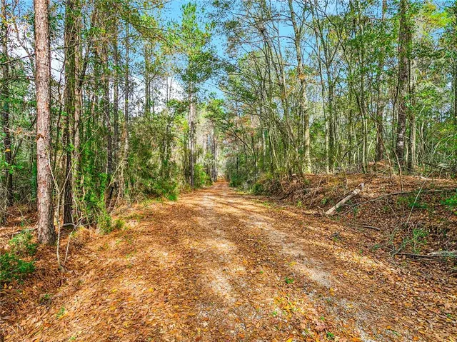 $635,000 | 26229 Mustang Lane, Mount Hermon, LA 70450