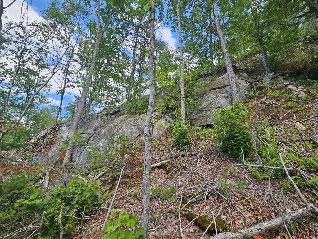 Multiple Quaker Ridge Road Leeds, ME 04263 - Photo 20 of 79 20260624_131236