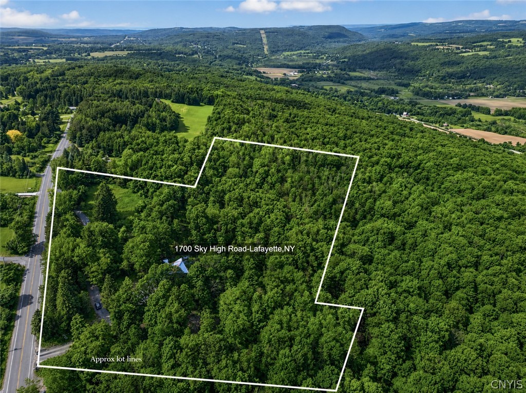 1700 Sky High Road LaFayette, NY 13084 - Photo 3 of 41