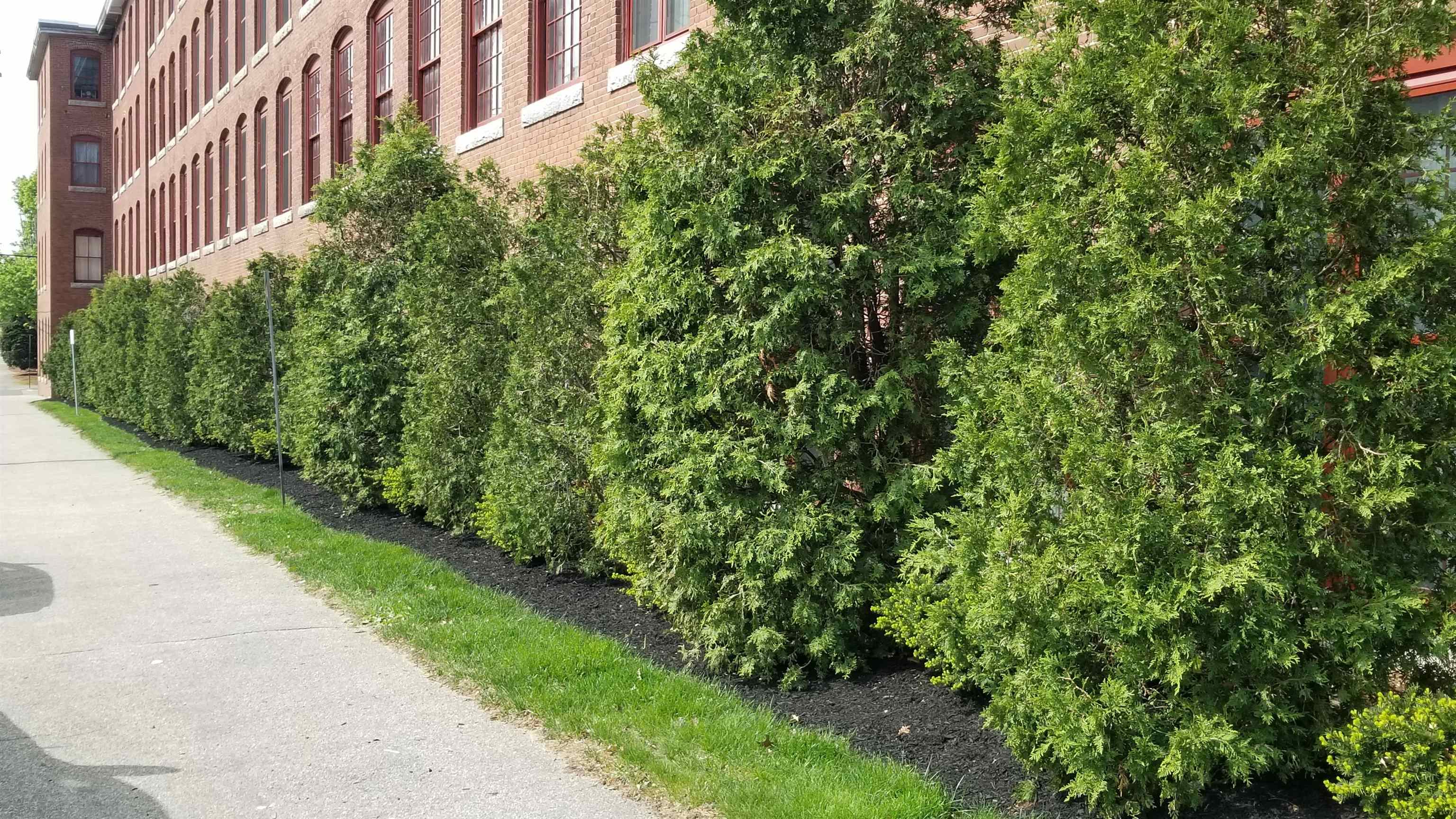 470 Silver Street, Unit 206 Manchester, NH 03103 - Photo 30 of 34