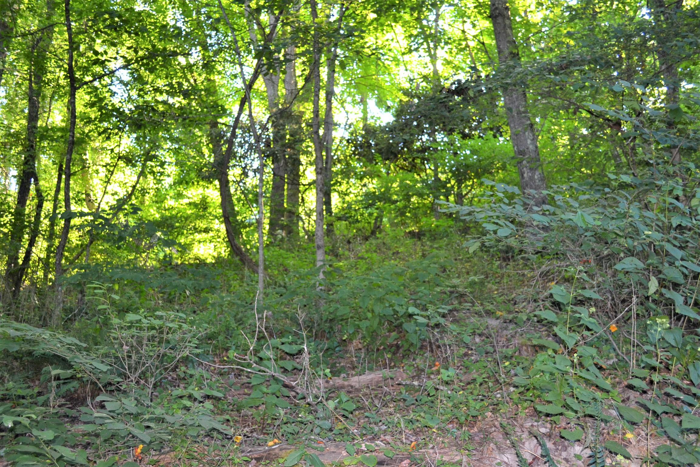 Spring Street Ronceverte, WV 24970 - Photo 4 of 12 Gallery Image 4