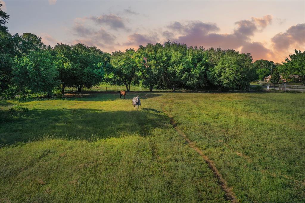 3030 Wager Road Flower Mound, TX 75028 - Photo 3 of 40 Expansive grassy field with a line of mature trees along the perimeter