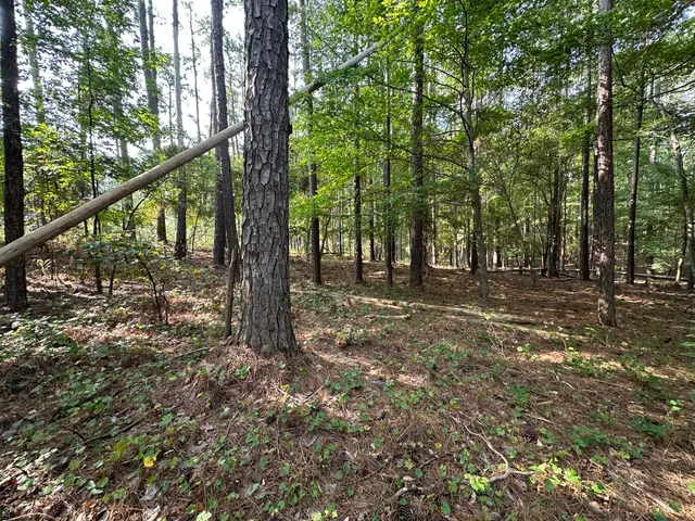 $15,000 | B14-l5 Tara Drive, McCormick, SC 29835