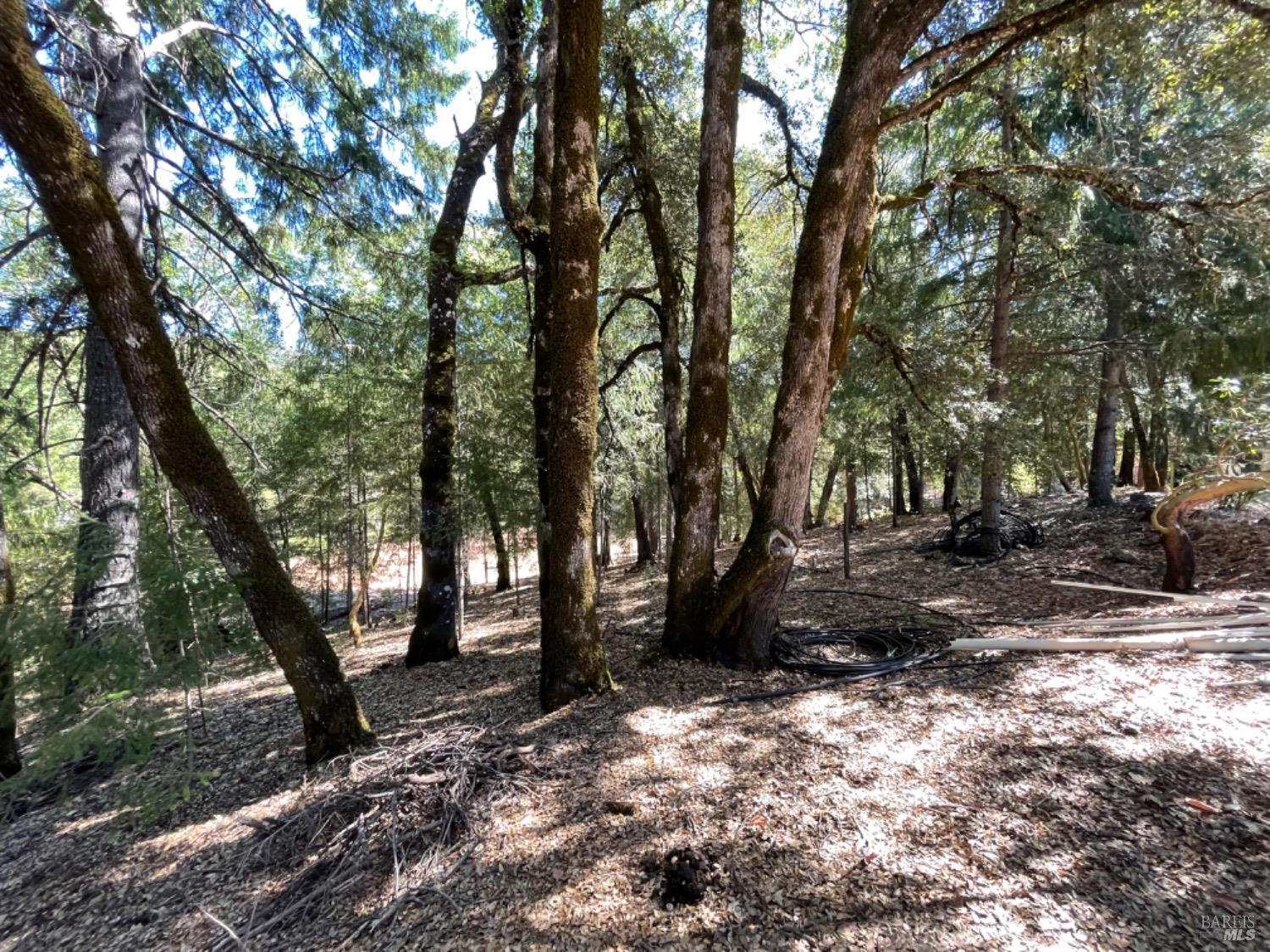 3490 Laytonville Dos Rios Road Laytonville, CA 95454 - Photo 16 of 38