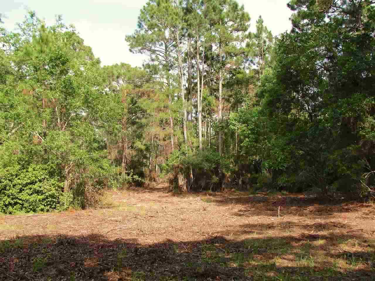 192 Levy Bay Road Panacea, FL 32346 - Photo 17 of 25 Gallery Image 17