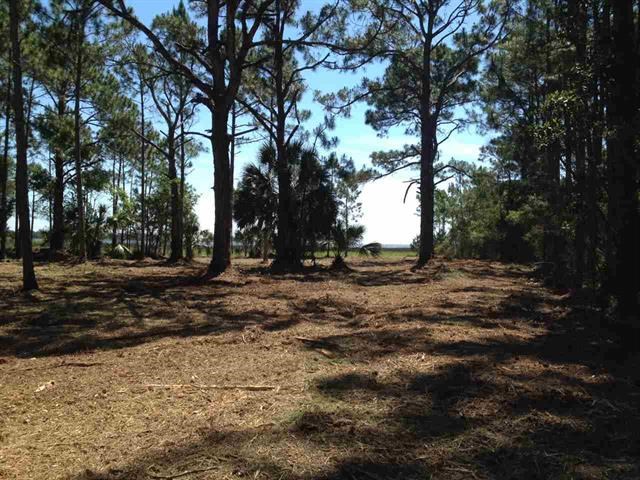 192 Levy Bay Road Panacea, FL 32346 - Photo 18 of 25 Gallery Image 18