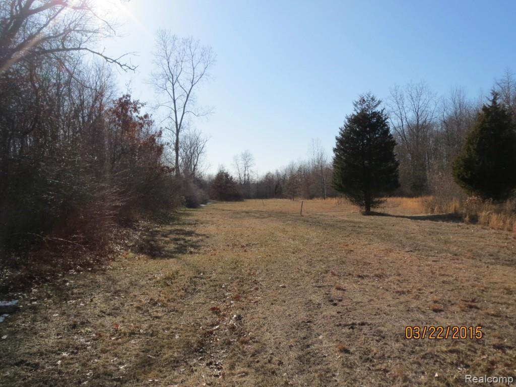 7900 West Newburg Road Carleton, MI 48117 - Photo 45 of 62 IMG_6021.jpg