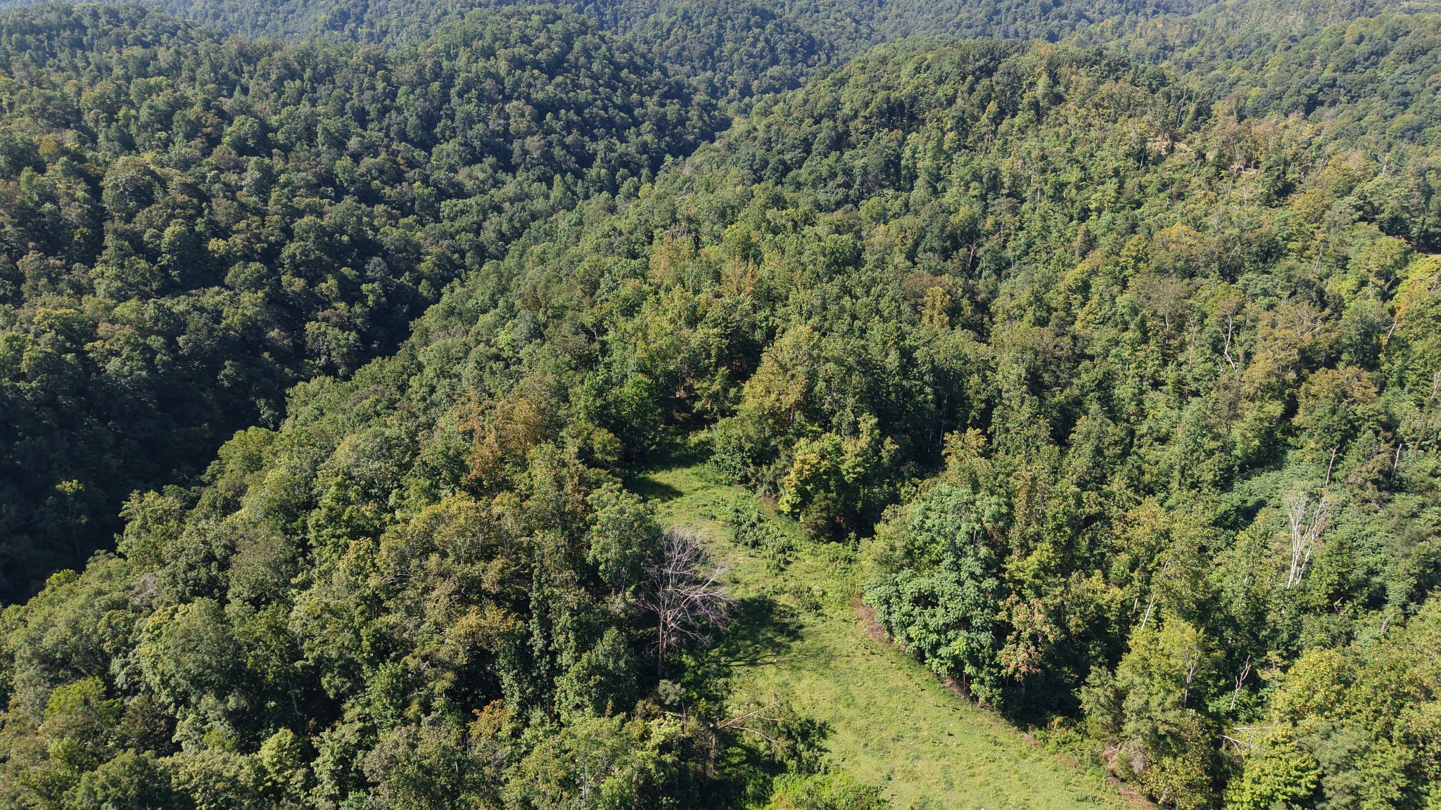 0 Wartrace Road Pleasant Shade, TN 37145 - Photo 32 of 42 Gallery Image 32