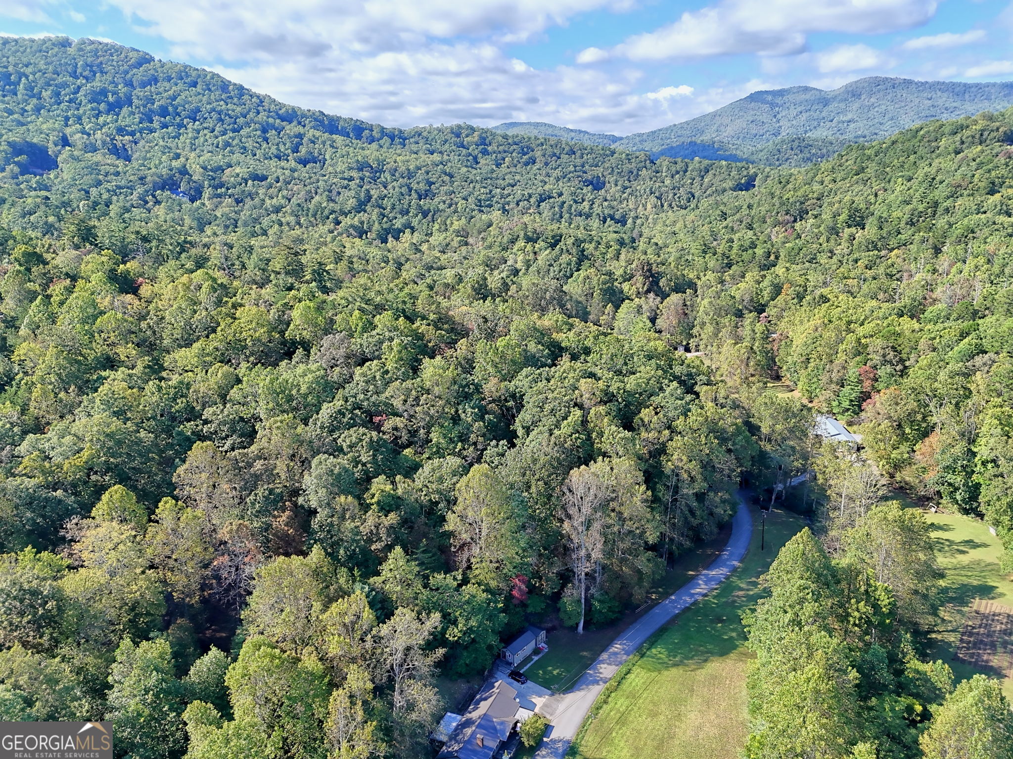 0 Woodall Road Tiger, GA 30576 - Photo 13 of 14 a view of a houses with a lush green forest