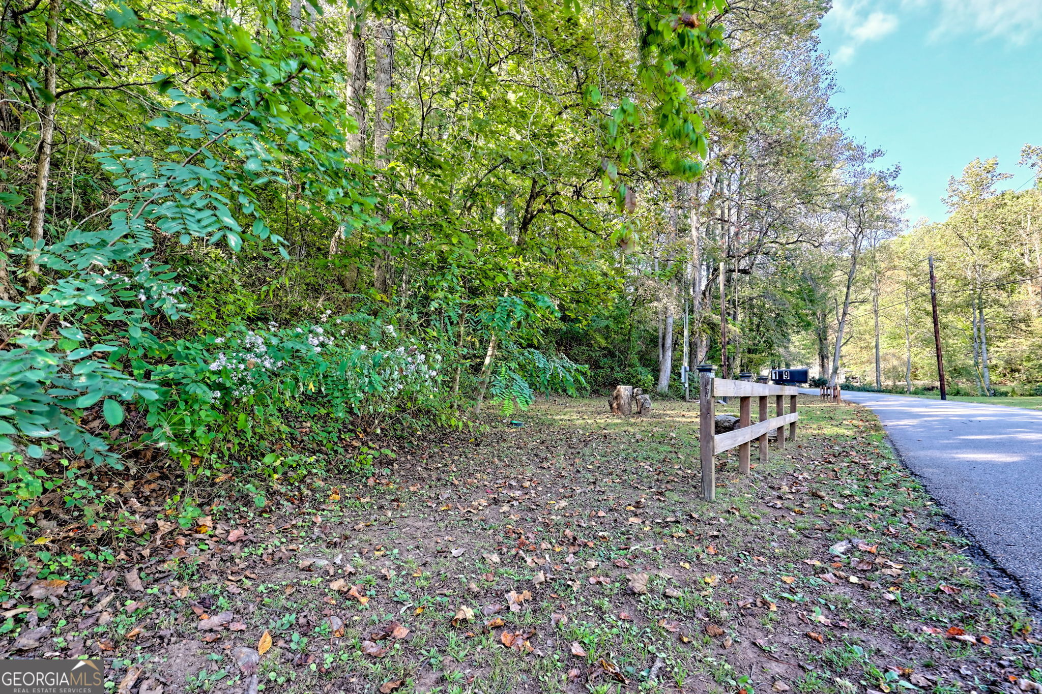 0 Woodall Road Tiger, GA 30576 - Photo 2 of 14 a view of a backyard with a trees