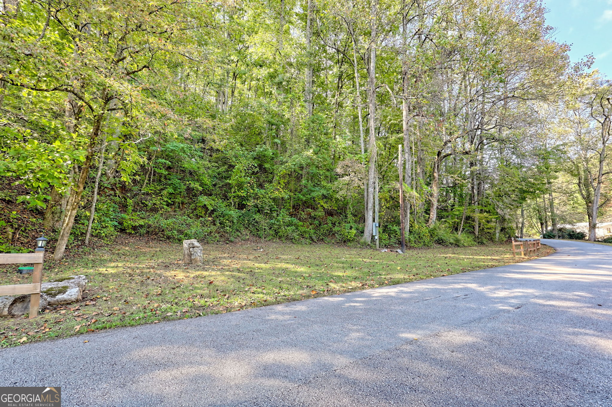 0 Woodall Road Tiger, GA 30576 - Photo 3 of 14 a view of a park with large trees