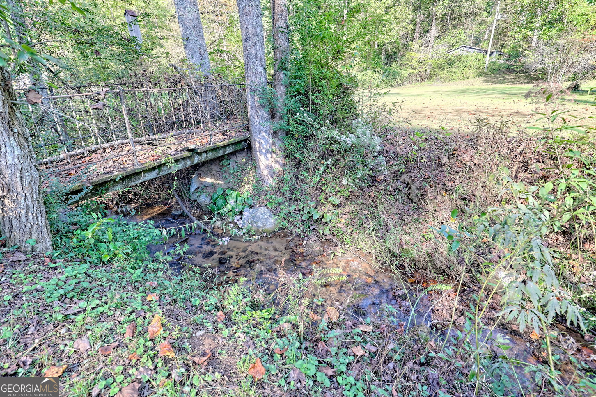 0 Woodall Road Tiger, GA 30576 - Photo 5 of 14 a view of a backyard with plants and large trees