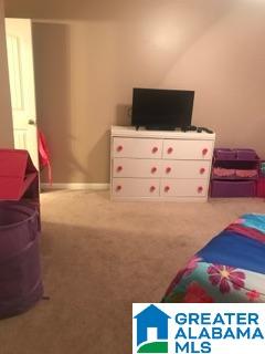 30 Jackson Lane Lincoln, AL 35096 - Photo 10 of 20