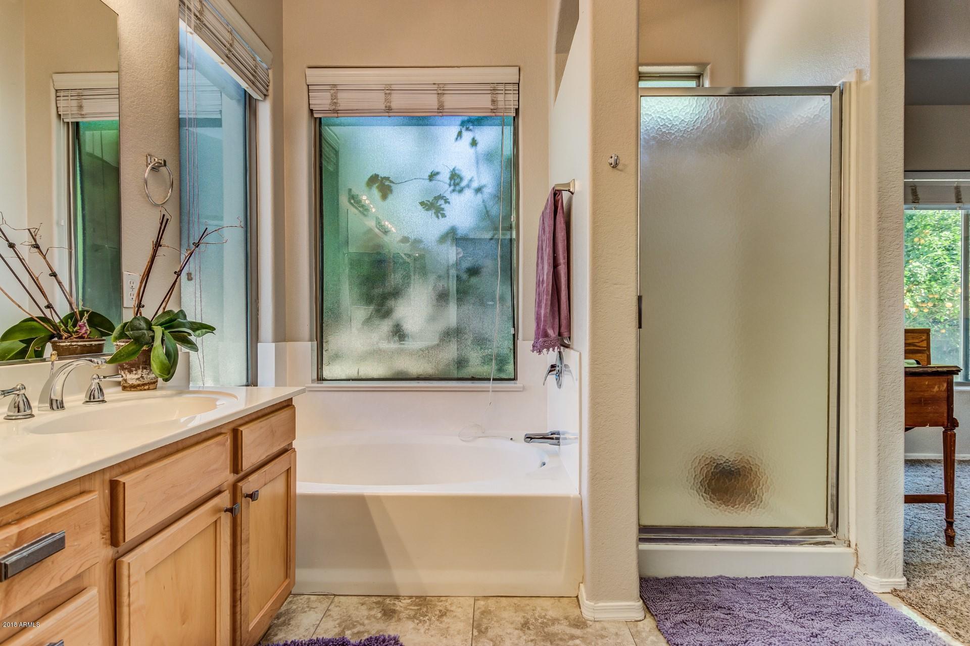 2648 East Santa Rosa Drive Gilbert, AZ 85234 - Photo 13 of 15 Santa Rosa (20)