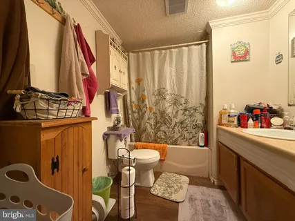 a bathroom with a sink toilet and shower curtain