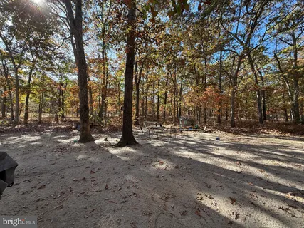 a view of a forest with trees