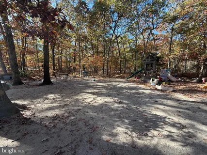 a view of dirt yard with a large tree