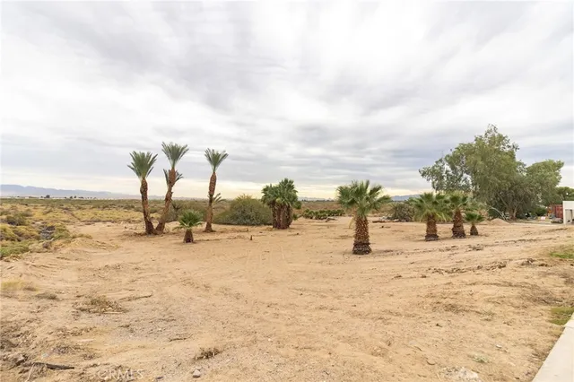 a view of a city with ocean view