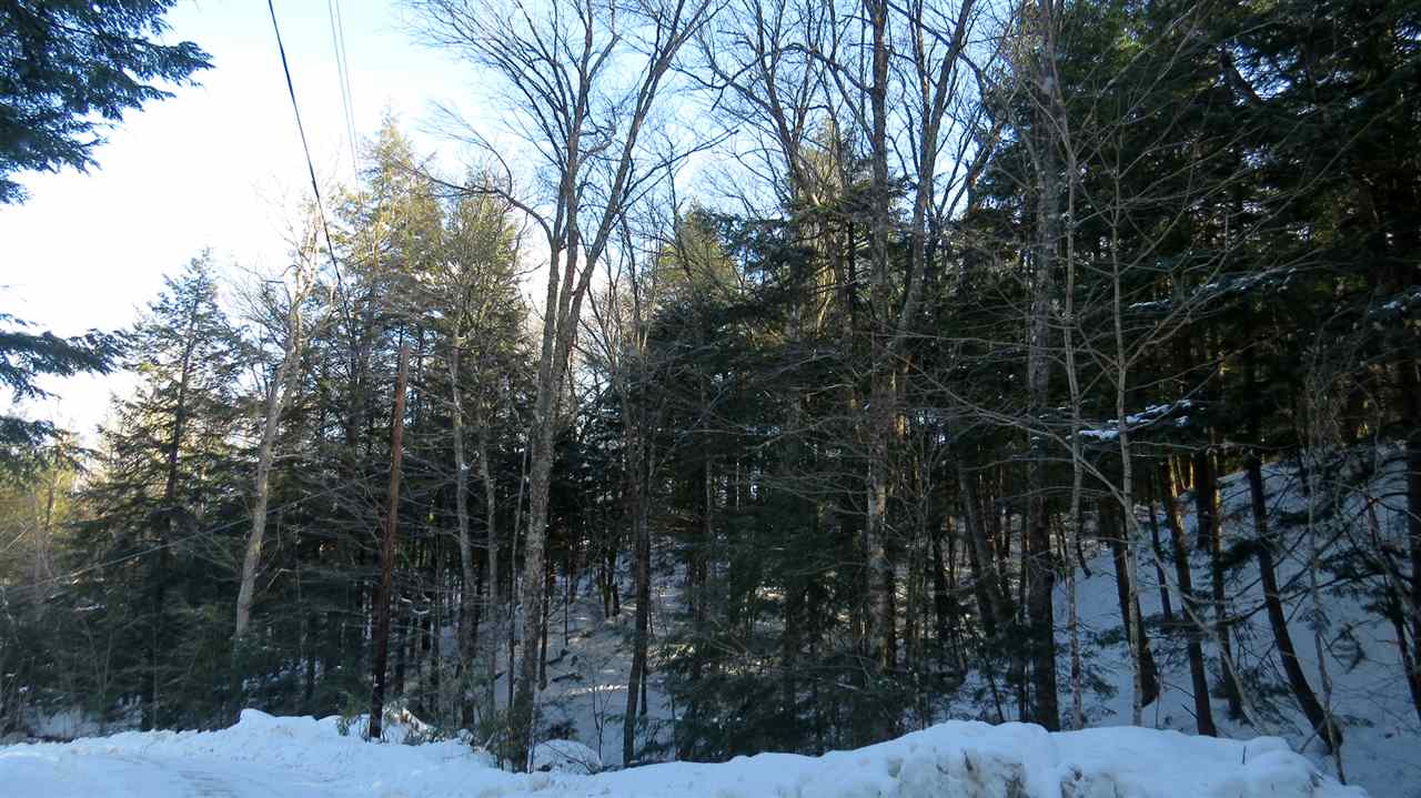 431 Patch Hill Road Mount Holly, VT 05730 - Photo 1 of 3 Gallery Image 1