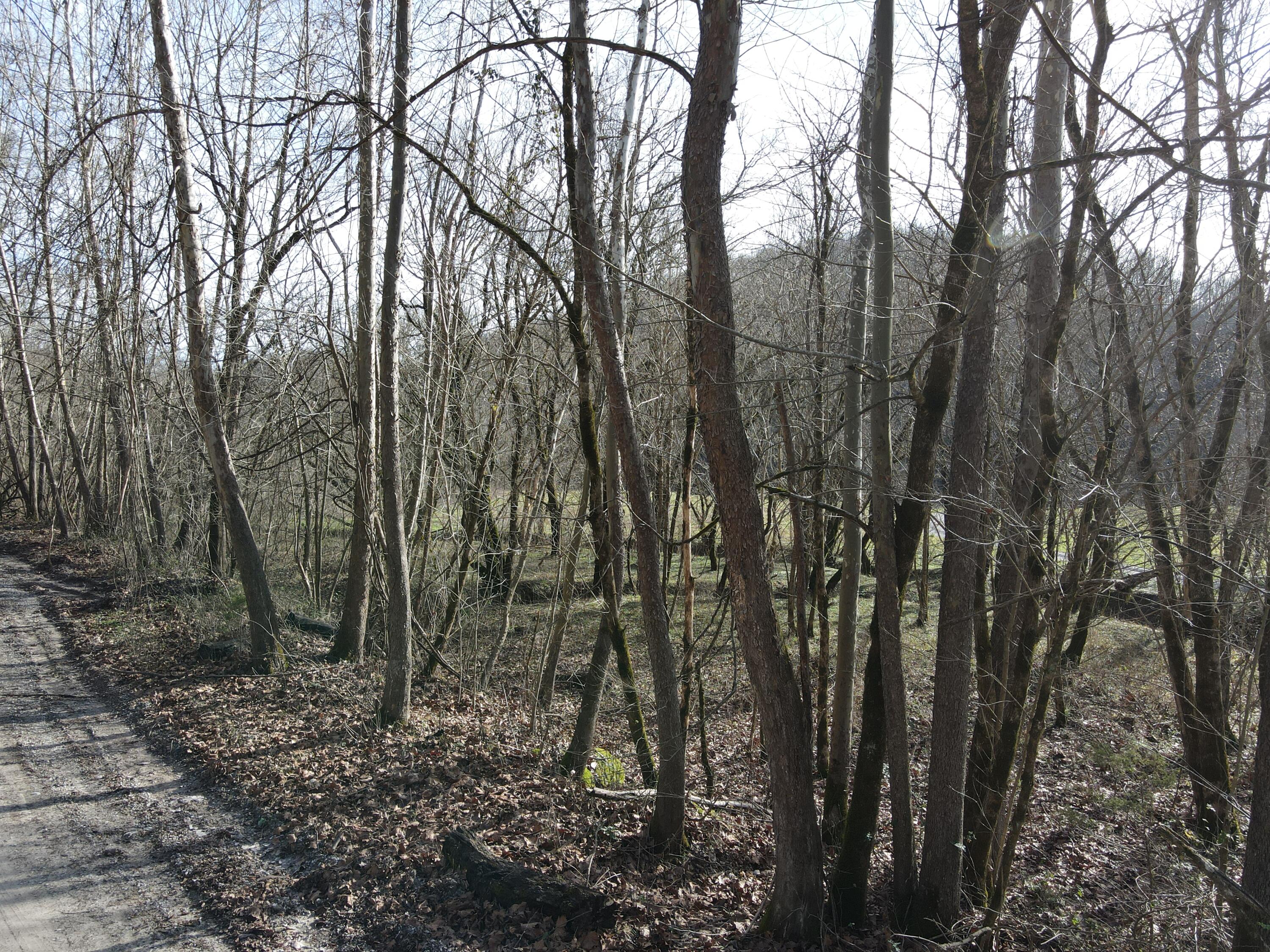 999 Mullins Station Road Livingston, KY 40445 - Photo 24 of 26 DJI_0496