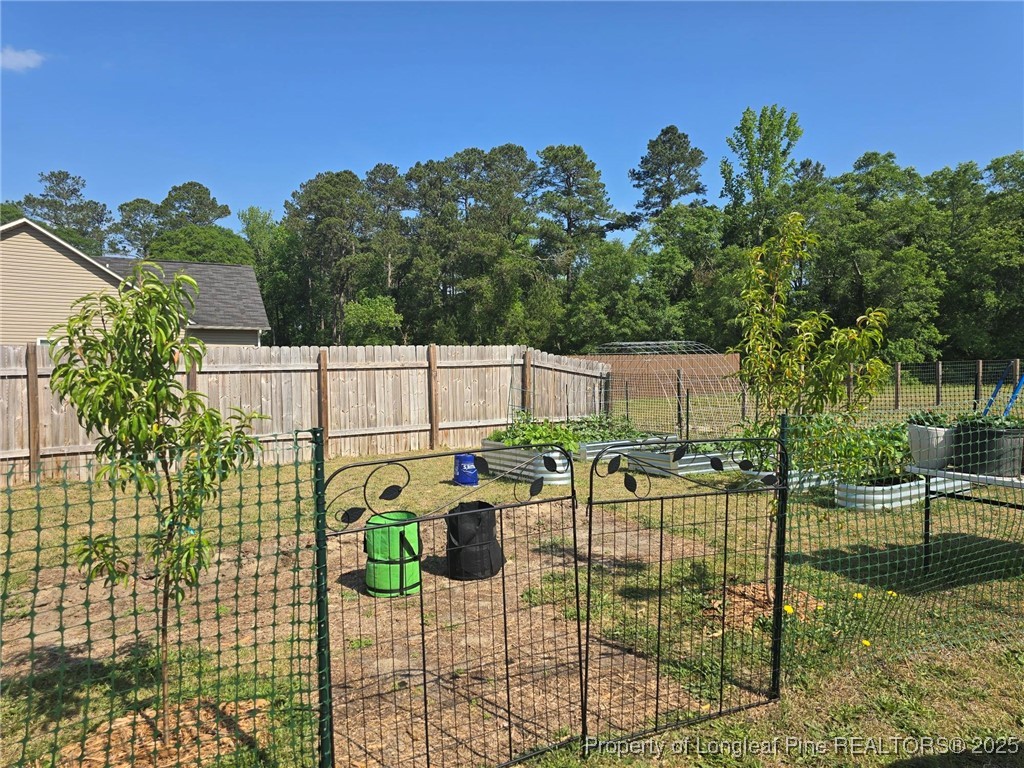 5345 Pittman Grove Church Road Raeford, NC 28376 - Photo 40 of 45 a view of outdoor space yard and patio