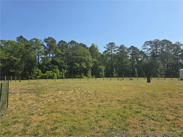 a view of a field with trees in the background