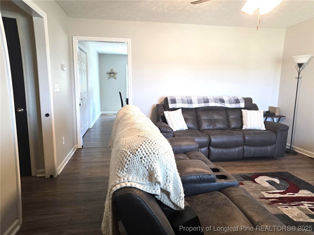 5345 Pittman Grove Church Road Raeford, NC 28376 - Photo 6 of 45 a living room with furniture and a rug