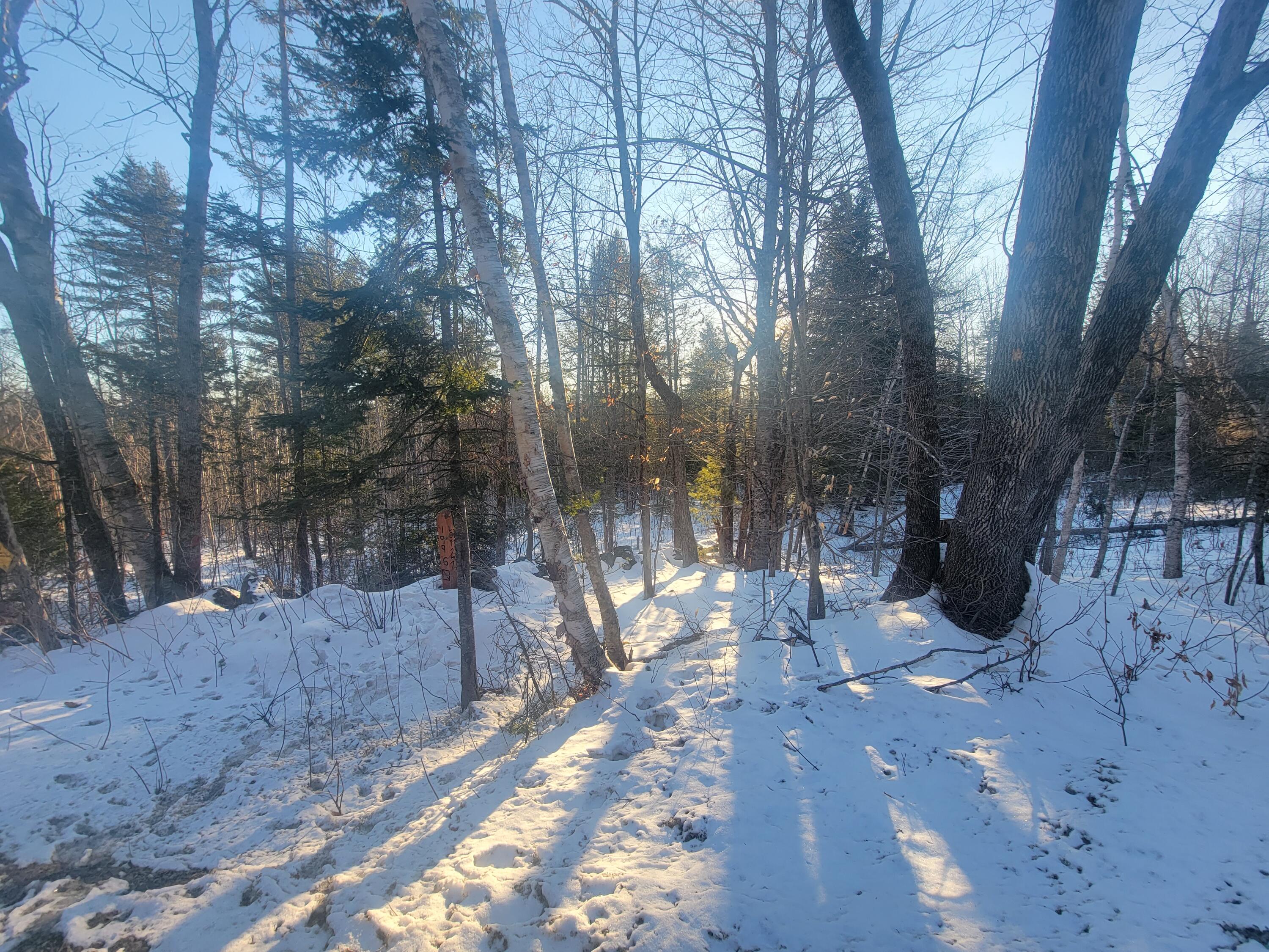 Lot 26-1 Map 4 Billington Road Milo, ME 04463 - Photo 7 of 20 20240219_160747