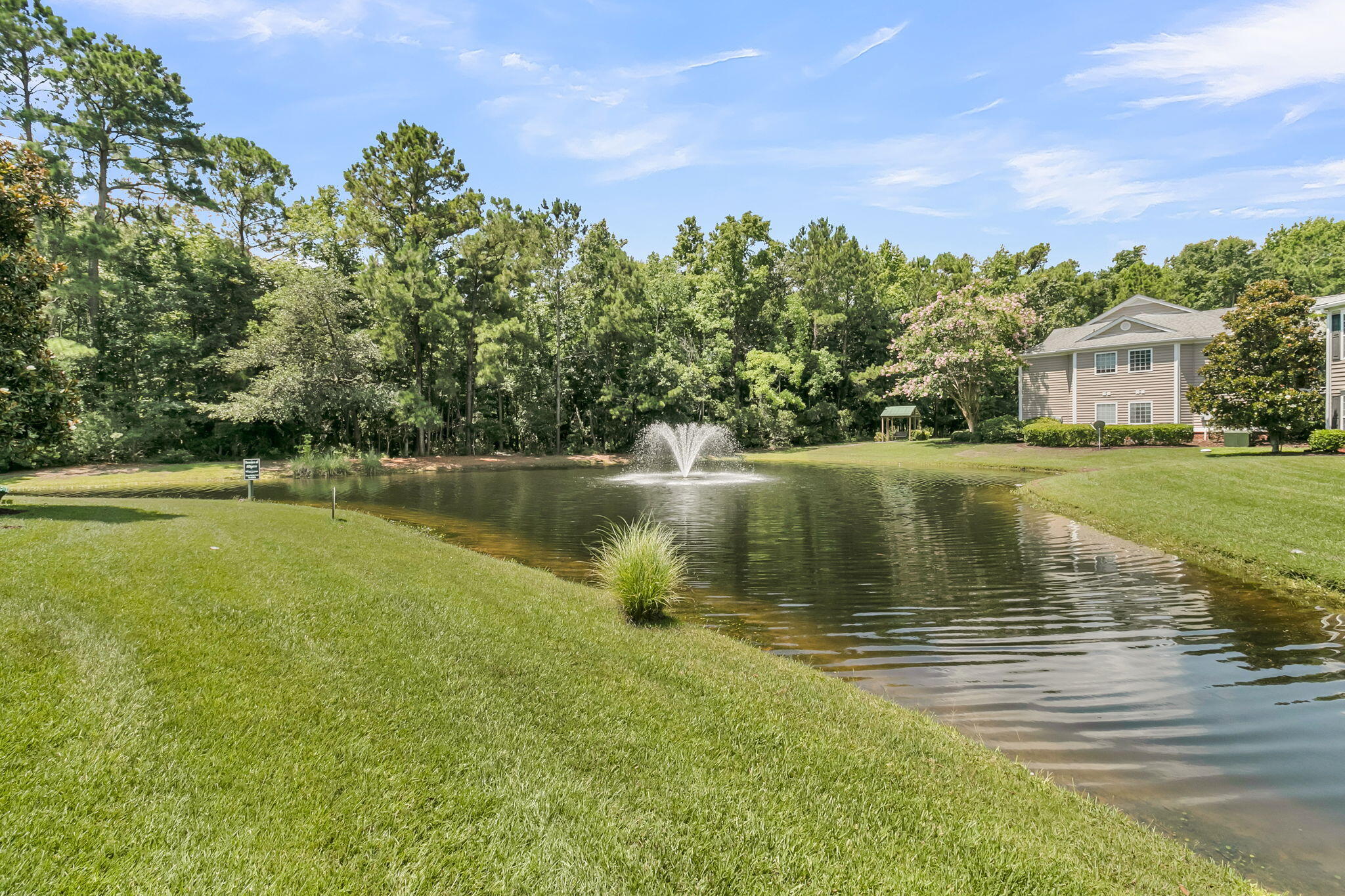 1377 Hopton Circle Mount Pleasant, SC 29466 - Photo 21 of 33 1377 Hopton pond view